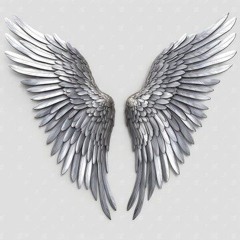 Le Fevre | Afterhour flight with silverwings