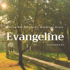 I Know Not Why God's Wondrous Grace