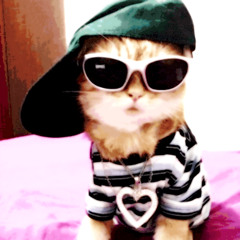 banquet ft. melvin margera