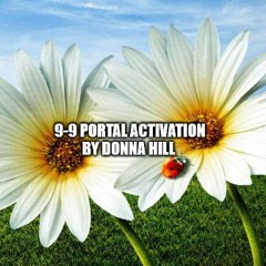DHill Bonus#3 9 - 9-Portal - Activation