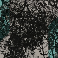 MellowPivot w/ black ear$