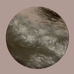 PREMIERE: Ness - Transilient (Vladw Remix) [Navigare Audio]