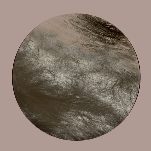 PREMIERE: Ness - Transilient (Vladw Remix) [Navigare Audio]