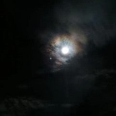Light in the Land of the Undead