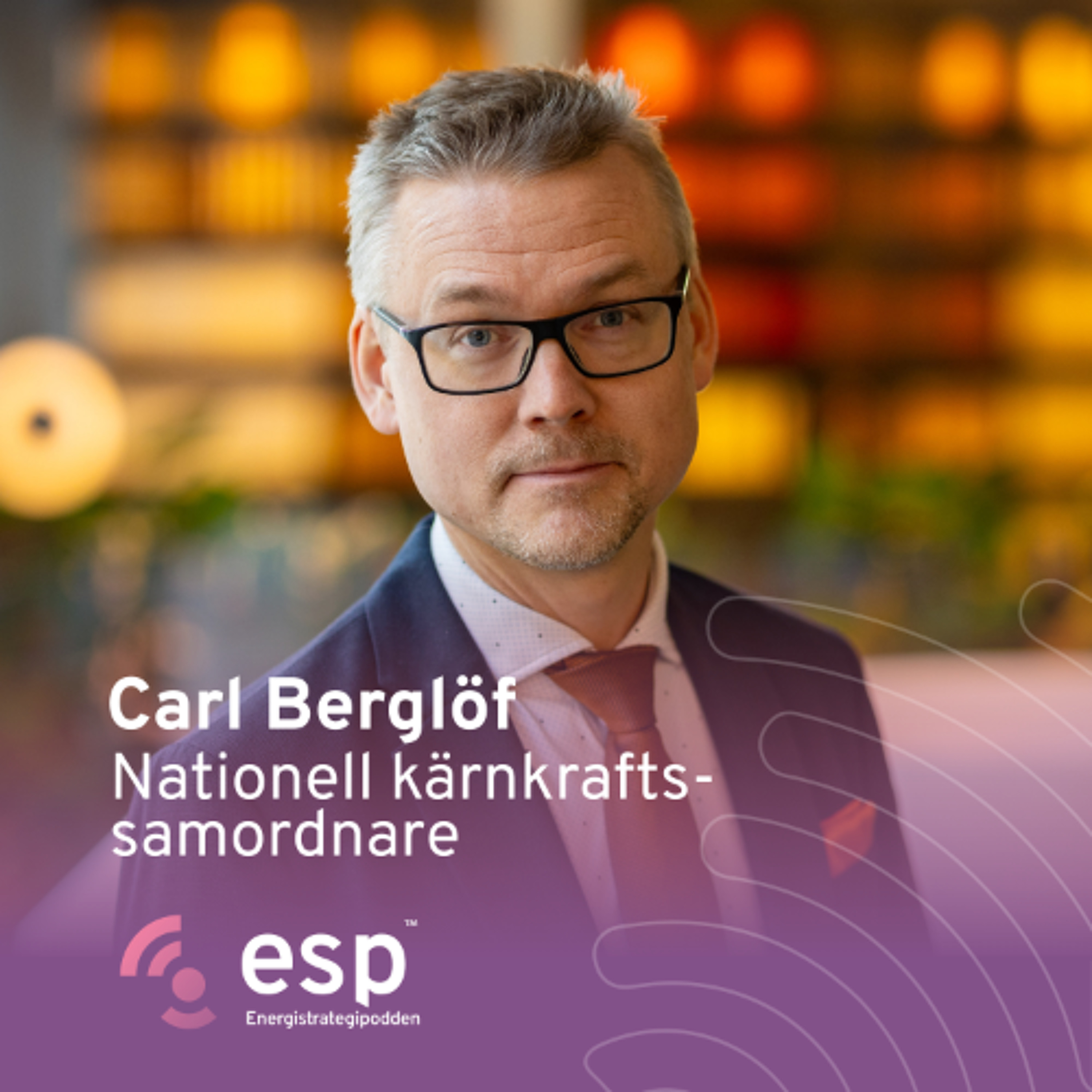 #343 - Carl Berglöf, Nationell kärnkraftssamordnare episode artwork