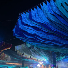 HERZSCHLAG x If U Need It (Atrip x Virji)