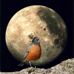 full moon stories- Oct 2020