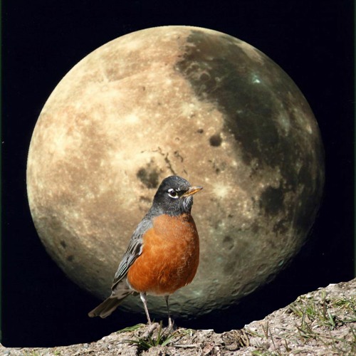 full moon stories- Oct 2020