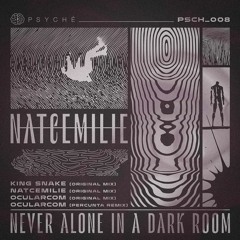 Never Alone In A Dark Room - Natcemilie (Original Mix) [PSCH008]