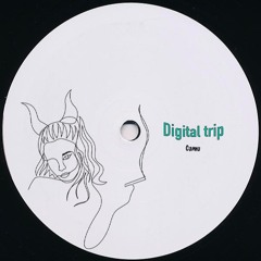 Digital trip