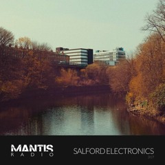 Mantis Radio 317 - Salford Electronics