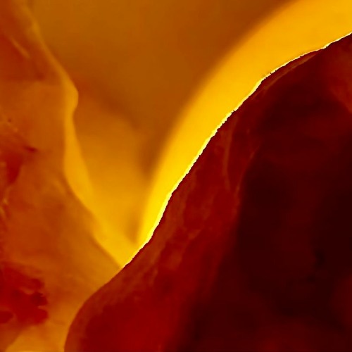 Where Do You Think It'll Take You.WAV