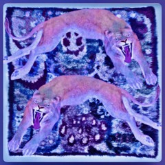 WM☯️#1211♏️♊️♉️☦️⛎🟣🟪🪻🦄💜♓️♌️♋️☮️♈️🧞♑️🧕🏽⚛️🕉️💟👩🏿‍🎤🔯☪️🕎🪁🪯🍇