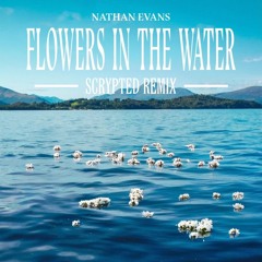Nathan Evans - Flowers In The Water (Scrypted Remix)