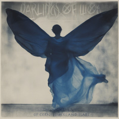 Through the veil (of cornflowers and stars)