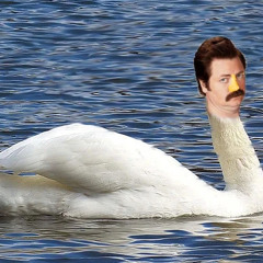 Swan Ronson