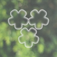 PREMIERE : Bouquet - Magnolia (Bouquet)