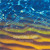 Artwork for Fable (Dream Radio)