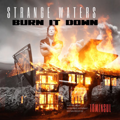 Burn It Down