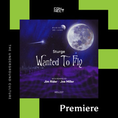 PREMIERE: Sturge - Wanted To Fly (Joe Miller Remix) [Musique de Lune]
