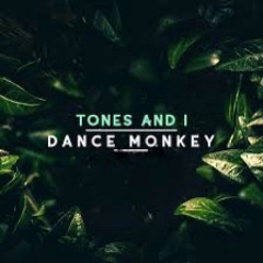 Dance Monkey (bootleg,hardcore)