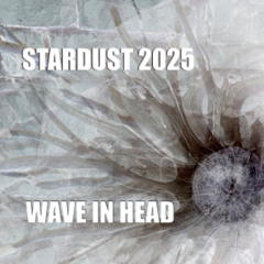 Stardust 2025