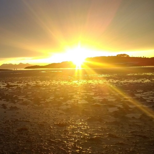 Stream Family Tree (Gerry Rafferty Cover) by tommy noble Listen