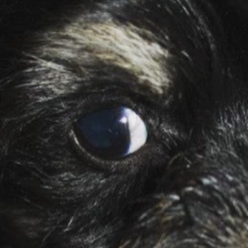 sugarplanetearf prod. me