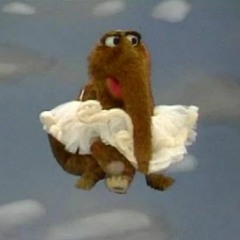 Sesamstraße: Wenn ich 'ne Wolke wär' mit Bibo und Schnuffi