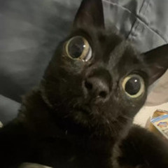 RENICHT MIX VERSION RD12 & DJ ZBK - DJ ZBK