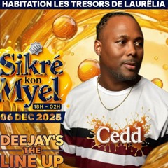 DJCEDD HIT MIX 24-11-2025