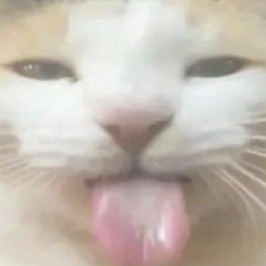 The space between a rock and a hard place (sped up)