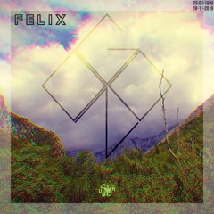 FELIX EP (Unfinished Monkey Records / UMR 27)