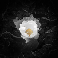 Avicii - Can't Love You Again (feat. Tom Odell)