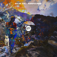 Salas (CR) - Mindfulness (Original Mix) [YHV RECORDS]