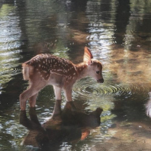 Good Luck, Babe! (Live 12/25/24)