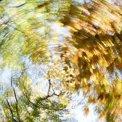 Vertigo
