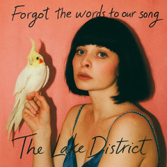 You Forgot The Words to Our Song