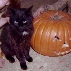 Halloween 1992