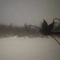 anne laplantine - a perfect world -vyaliyy imperfect edit-