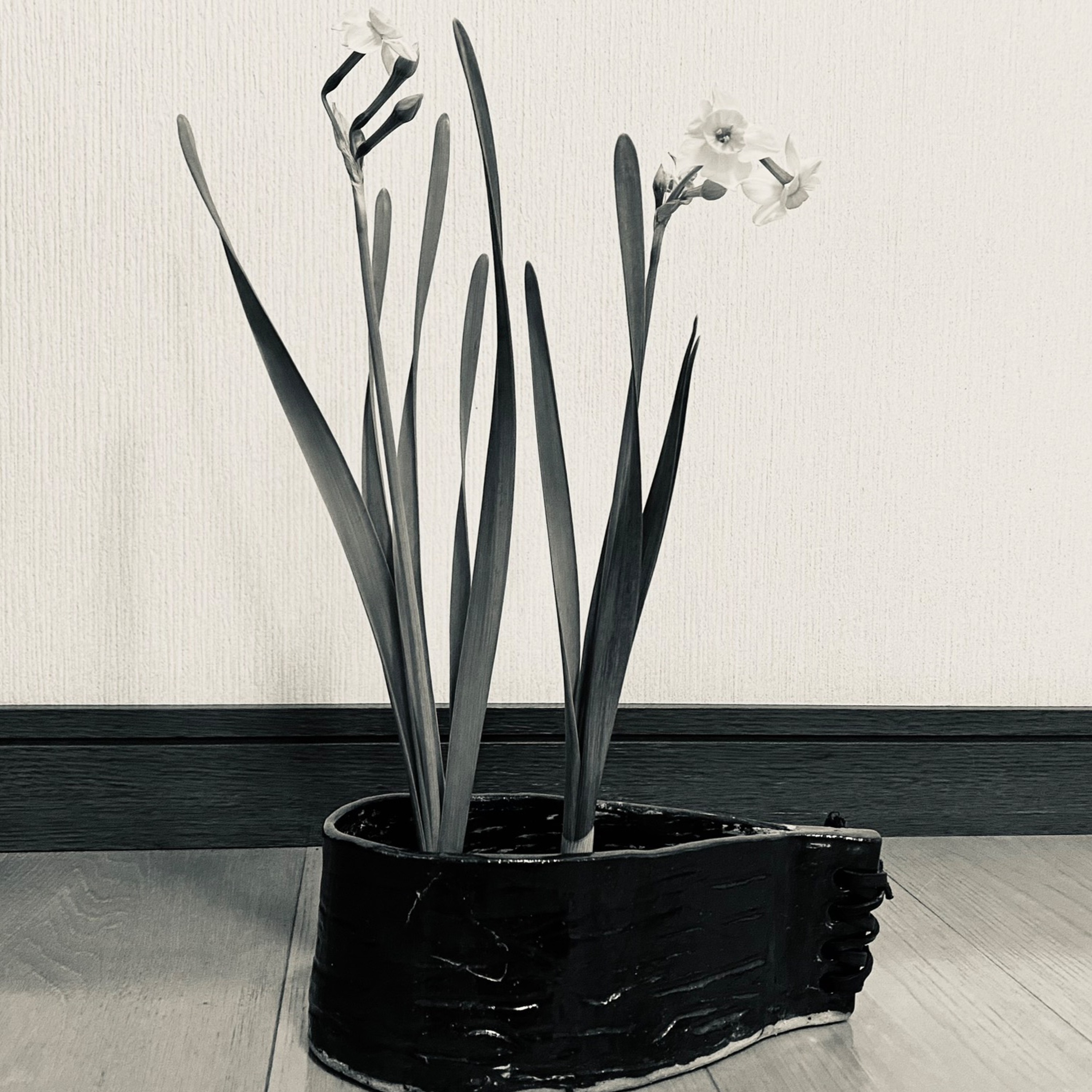 冬の麦茶 episode artwork