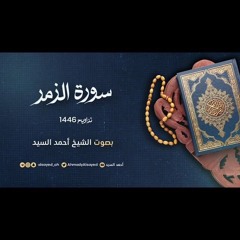 سورة الزمر || ليالي رمضان ١٤٤٦ || الشيخ أحمد السيد