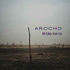 Little Bird Instr (demo)