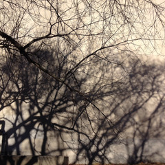 Skullchatter Finesse