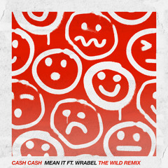 Mean It (feat. Wrabel) (The Wild Remix)