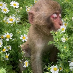 good times ft kidracks prod sigs