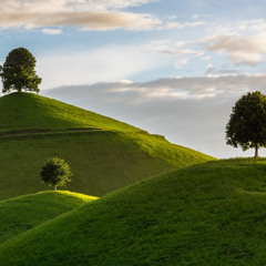 automation project.wav