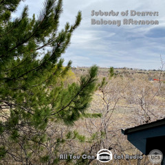 Suburbs Of Denver_Balcony Afternoon_PREVIEW