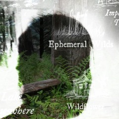 Ephemeral Wilds