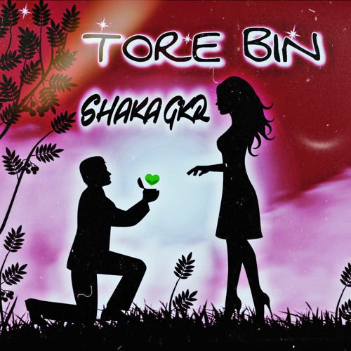 tore bin (bundeli song) shaka gkr || 2k23